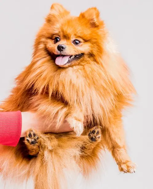 Индивидуальный подход