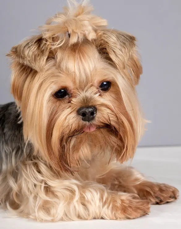 Профессиональный уход