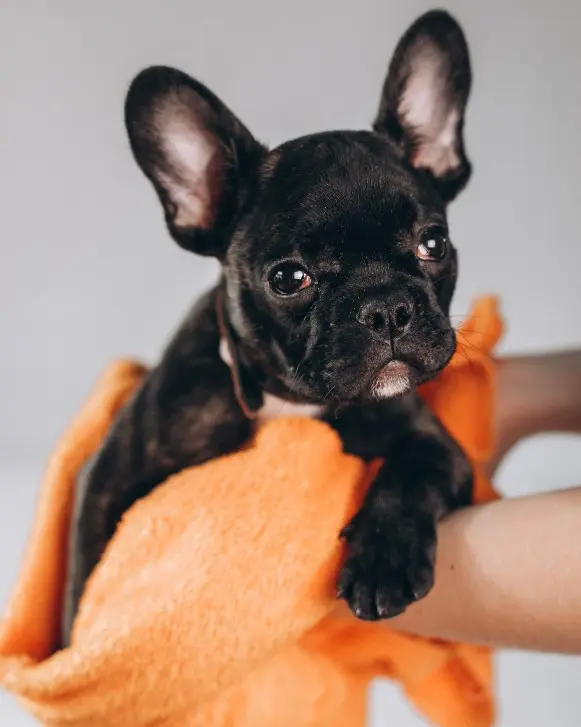 Безопасность и комфорт